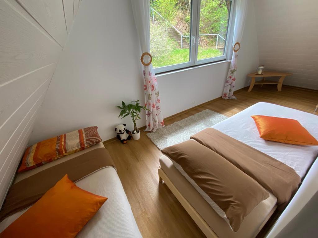 Haus Adler - Komplettes Ferienhaus am Badesee Erzgrube Exterior foto