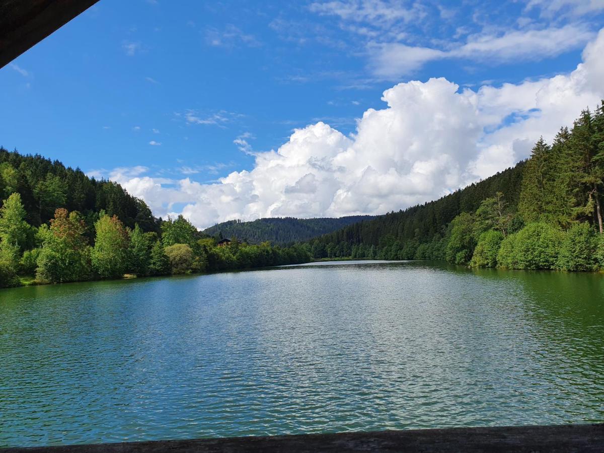 Haus Adler - Komplettes Ferienhaus am Badesee Erzgrube Exterior foto